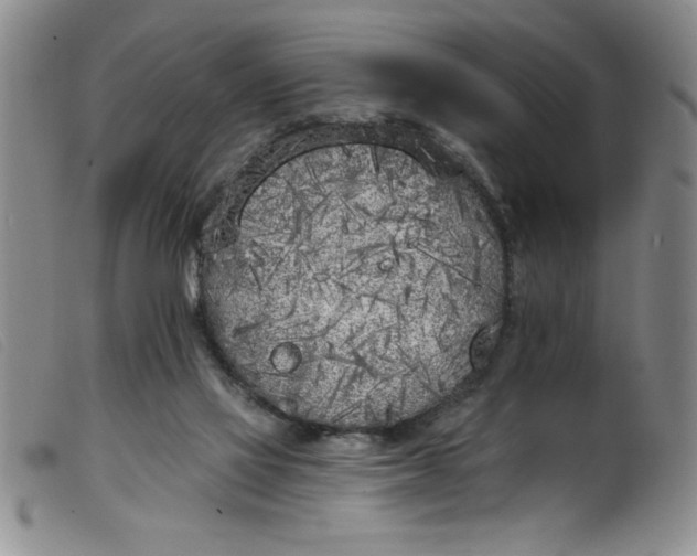 X0000099320069200805161410