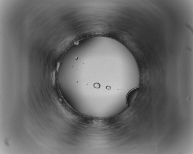 X0000099320070200805161410