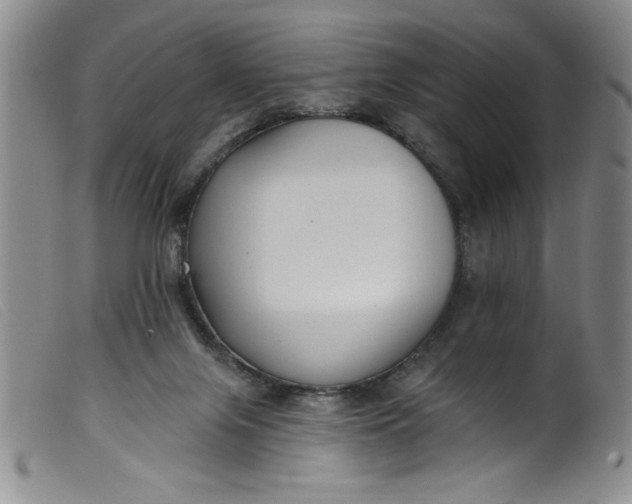 X0000099320071200805161410