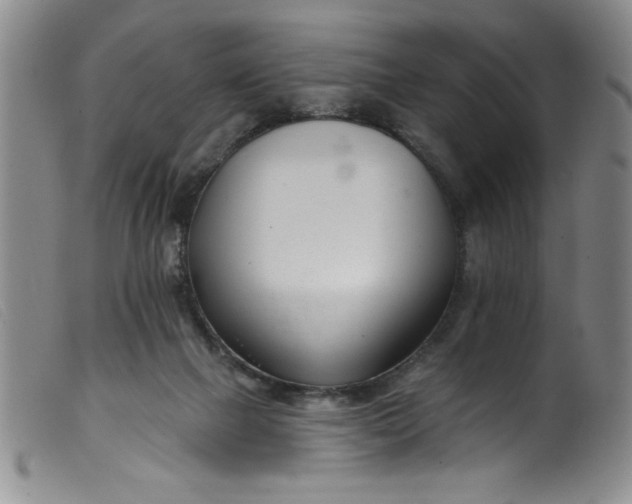 X0000099320073200805161410