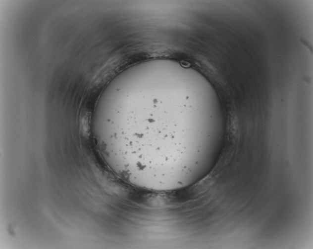 X0000099320074200805161410