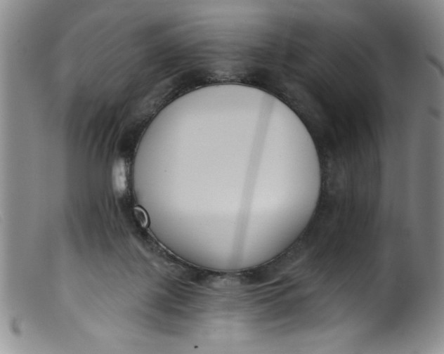 X0000099320075200805161410