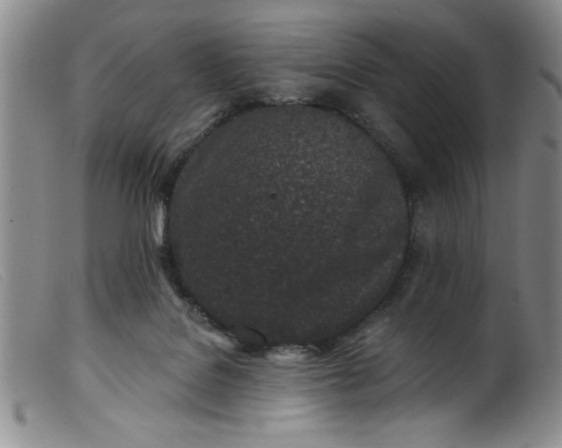 X0000099320076200805161410