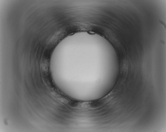 X0000099320078200805161410