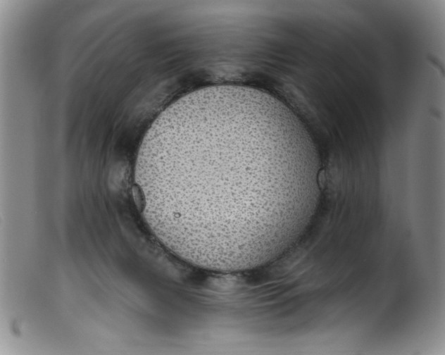 X0000099320079200805161410