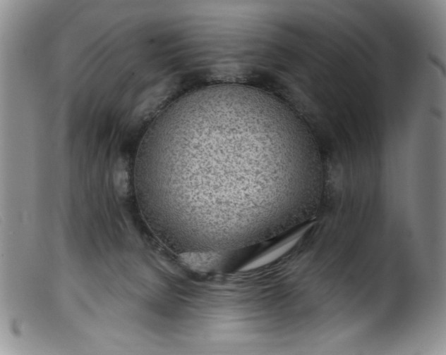 X0000099320080200805161411