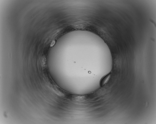 X0000099320081200805161411