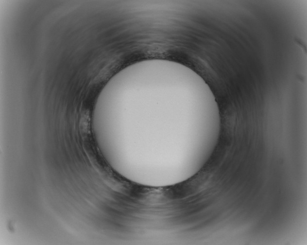 X0000099320083200805161411