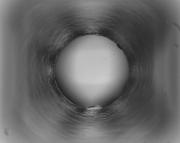 X0000099320084200805161411