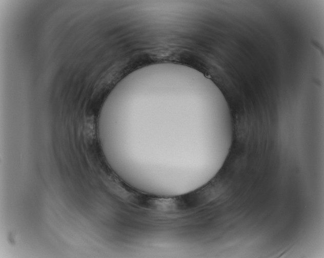 X0000099320085200805161411