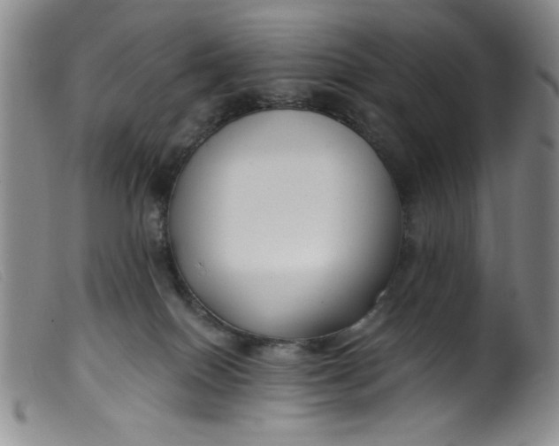 X0000099320086200805161411