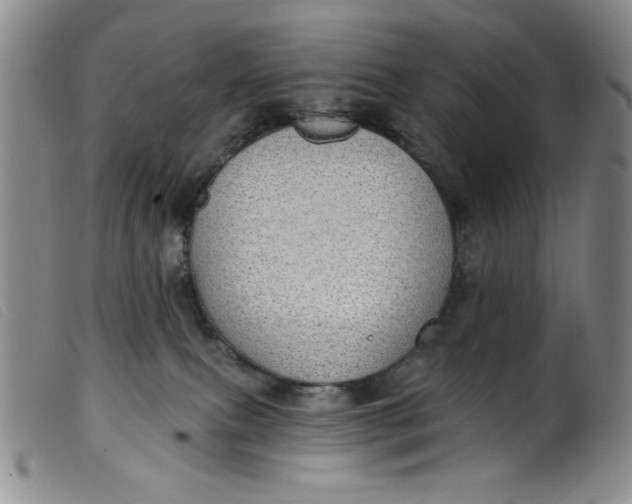 X0000099320087200805161411