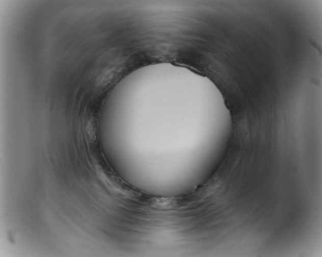 X0000099320088200805161411