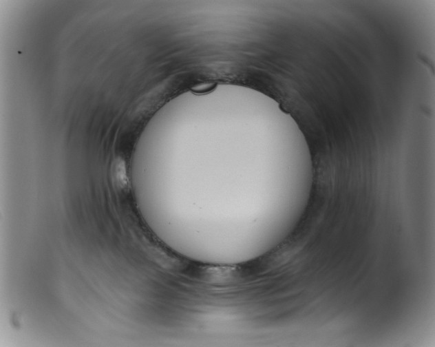 X0000099320089200805161411