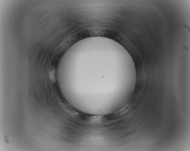 X0000099320090200805161411