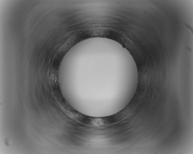 X0000099320091200805161411