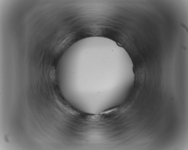 X0000099320092200805161411