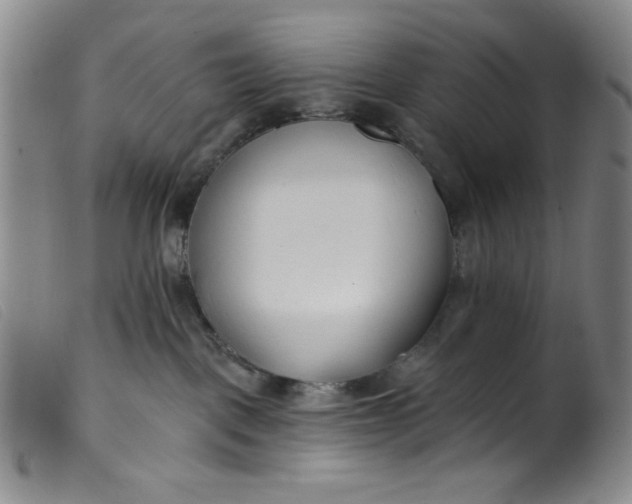 X0000099320093200805161411