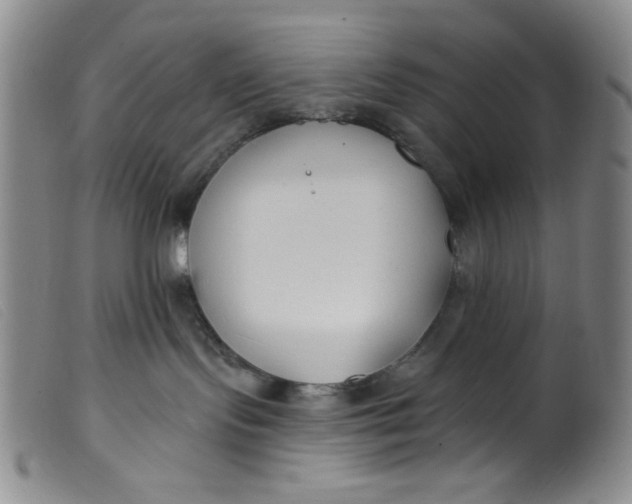 X0000099320095200805161411