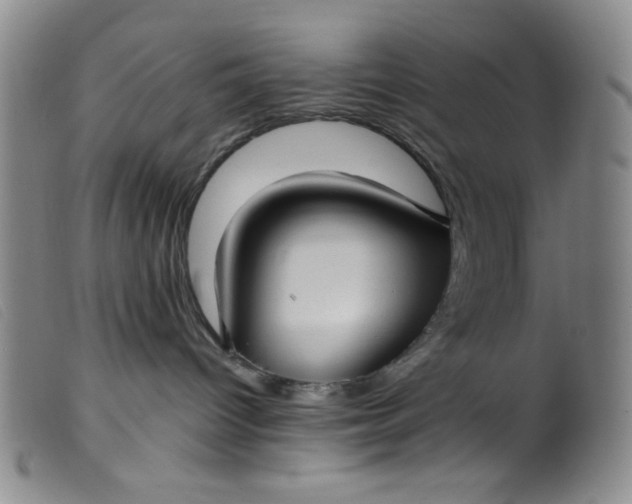 X0000099320096200805161411