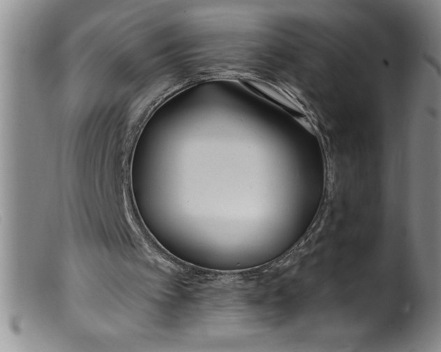 X0000099320097200805161410