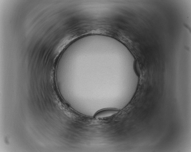 X0000099320098200805161410