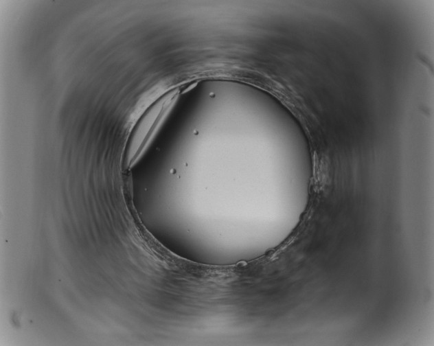 X0000099320099200805161410