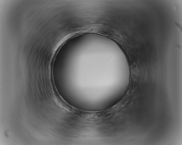 X0000099320100200805161410