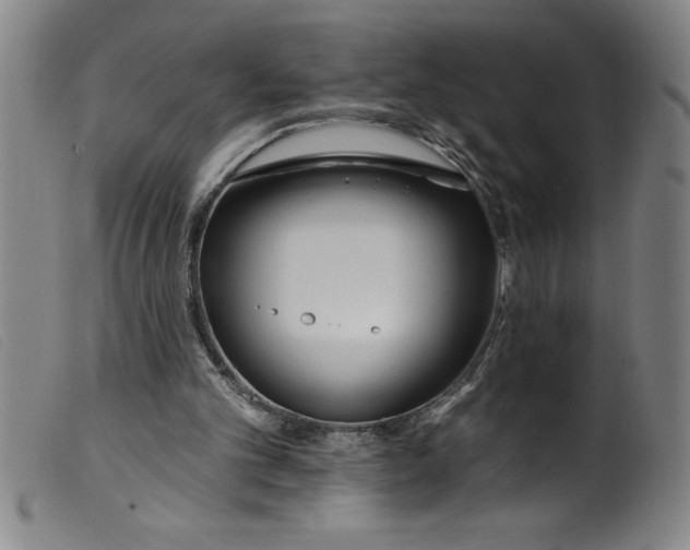 X0000099320101200805161410