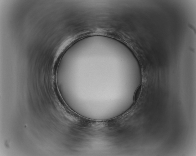 X0000099320102200805161410