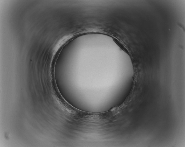 X0000099320104200805161410