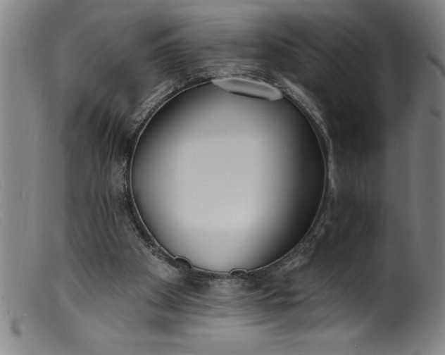 X0000099320105200805161410