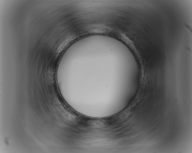 X0000099320106200805161410