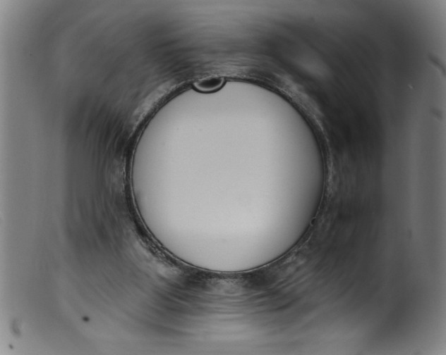 X0000099320107200805161410