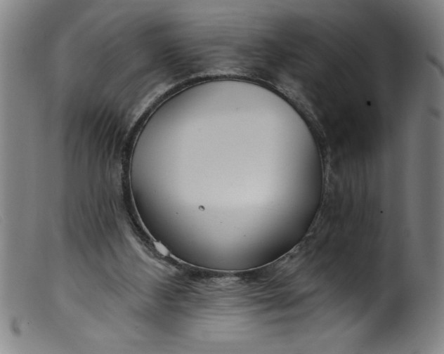 X0000099320108200805161410