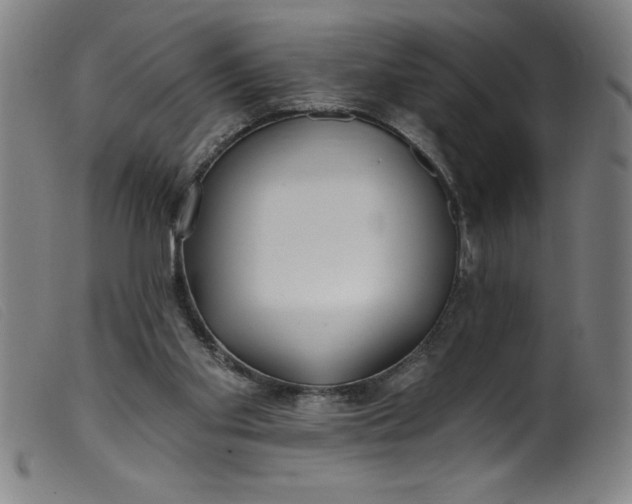 X0000099320109200805161410