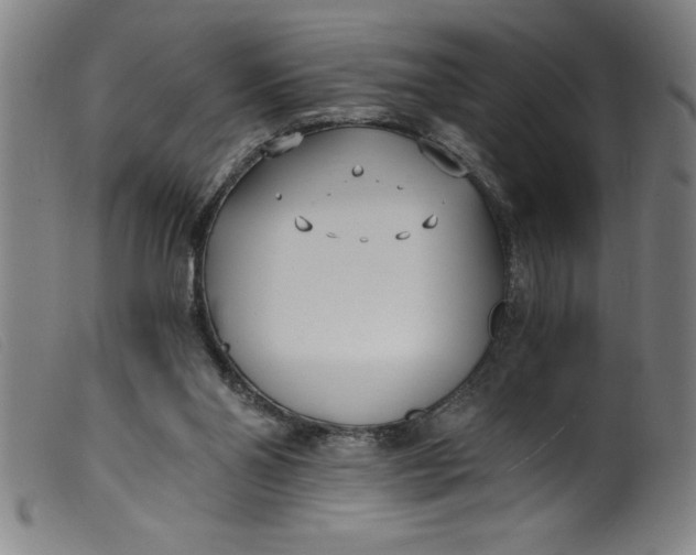 X0000099320110200805161410