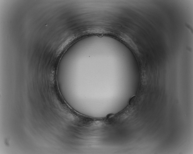 X0000099320111200805161410