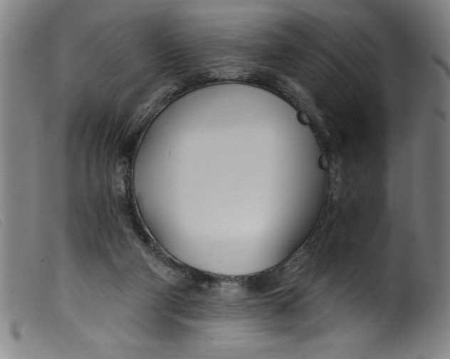 X0000099320114200805161410