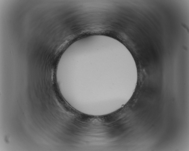 X0000099320115200805161410