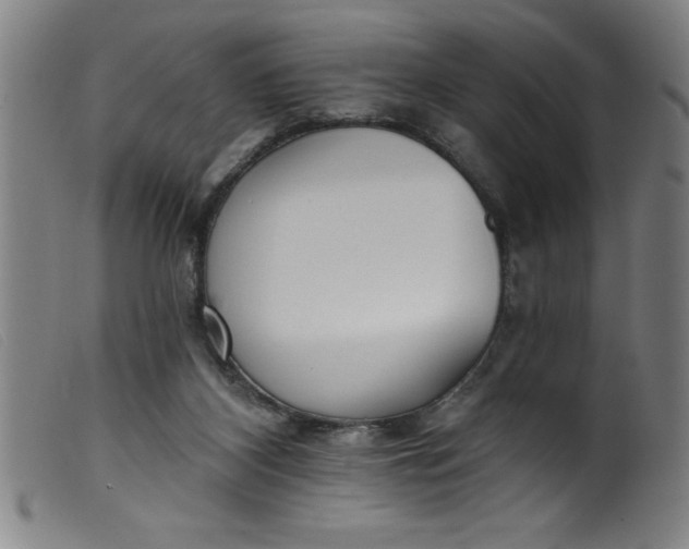 X0000099320116200805161410