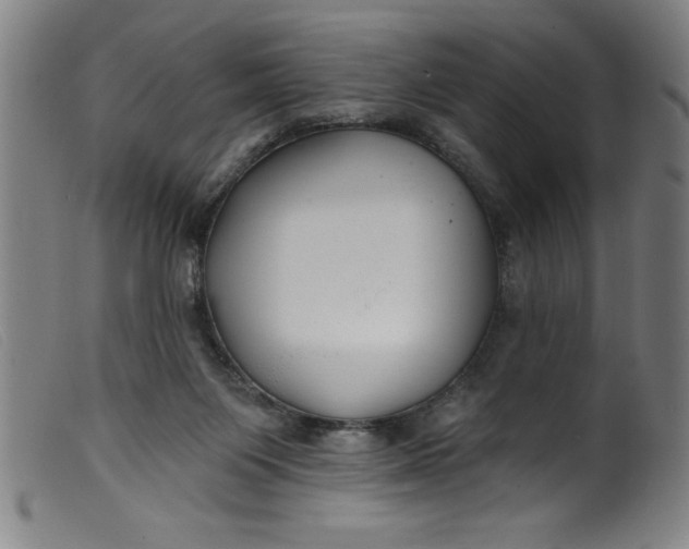 X0000099320119200805161410