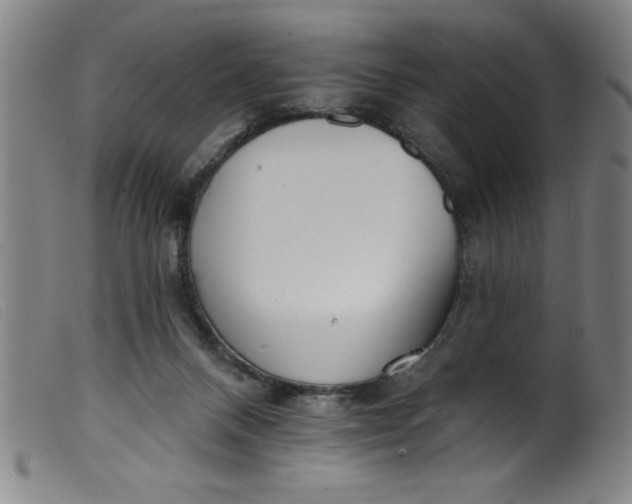 X0000099320120200805161410