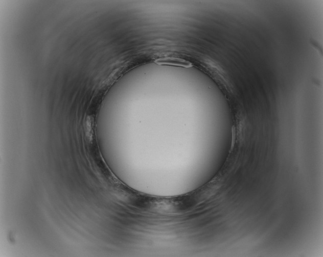 X0000099320121200805161410