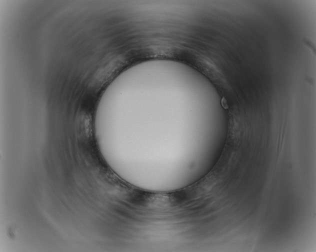 X0000099320123200805161410