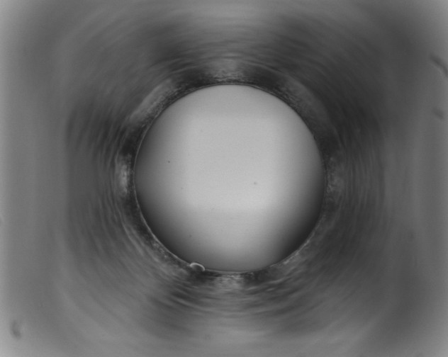 X0000099320124200805161410