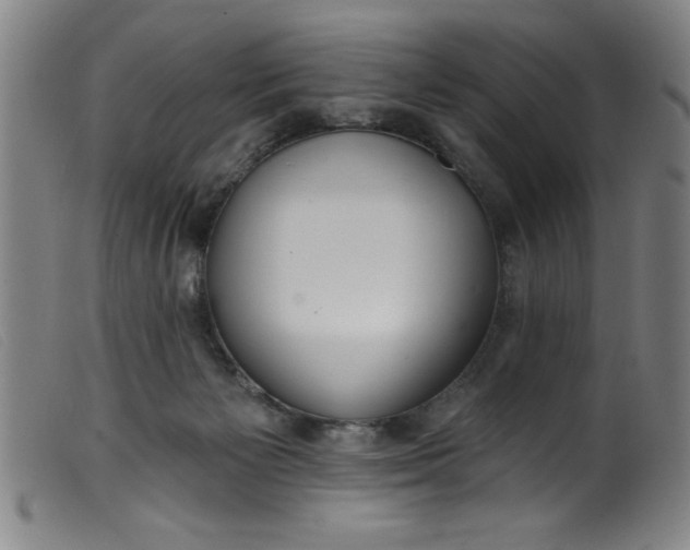 X0000099320125200805161410