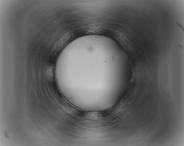 X0000099320127200805161410