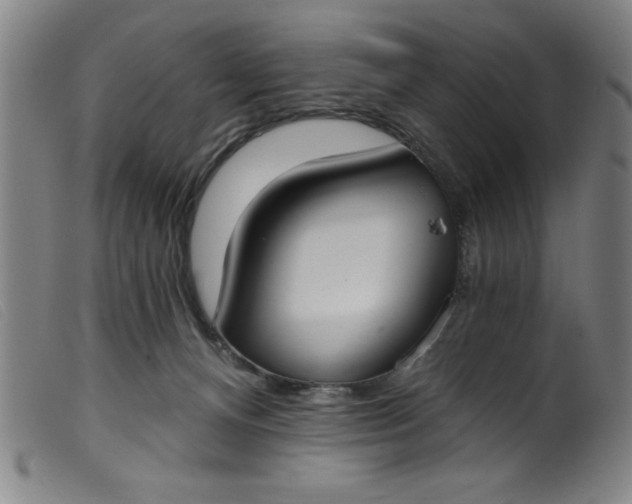 X0000099320128200805161410