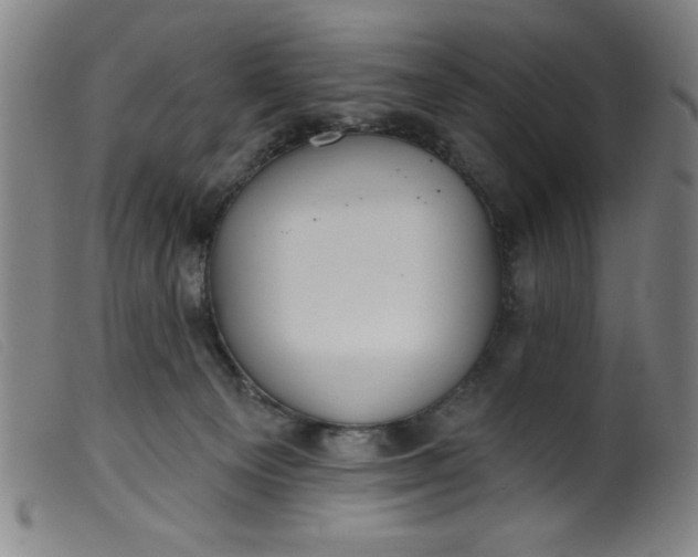 X0000099320129200805161410